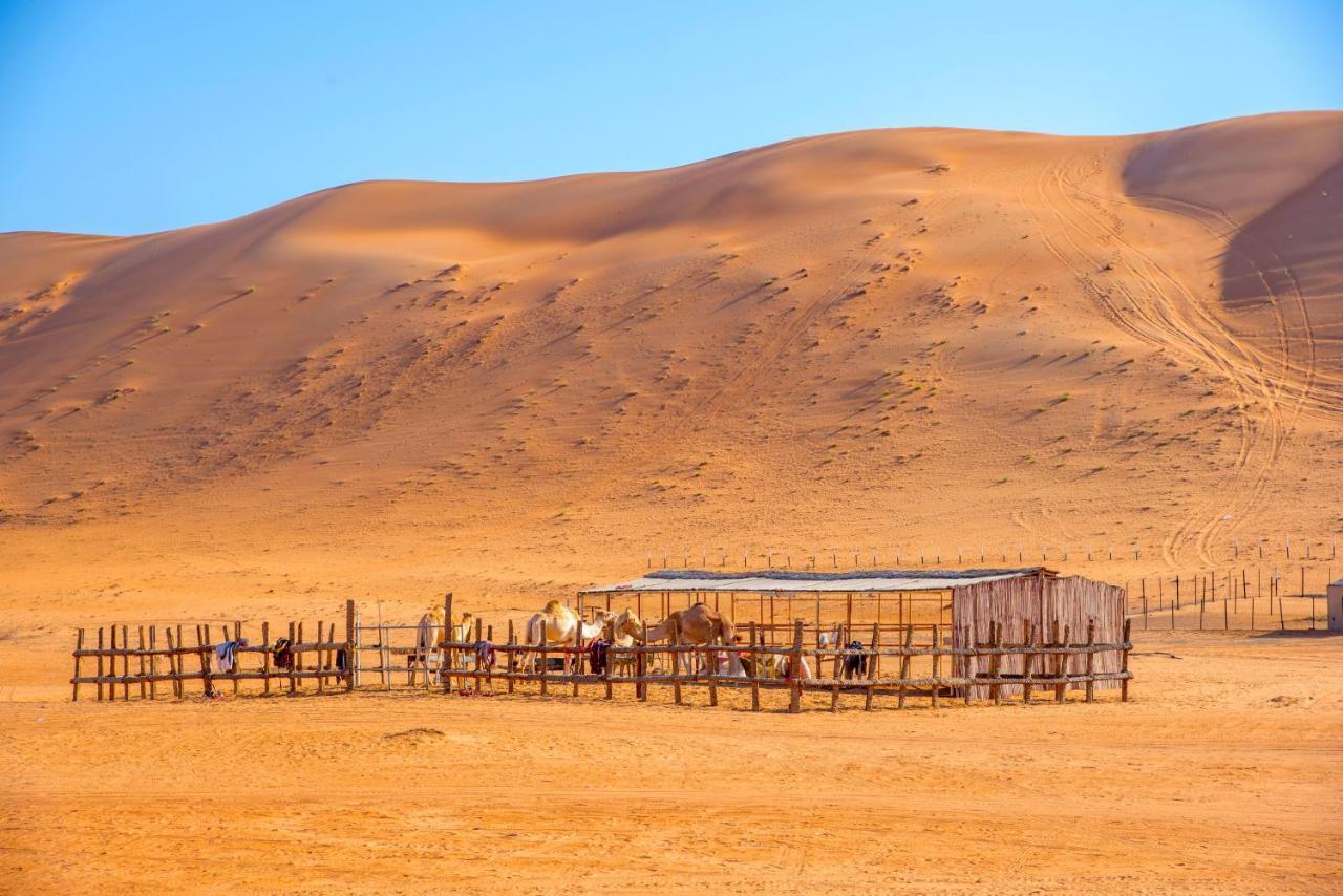 Arabian Oryx Camp